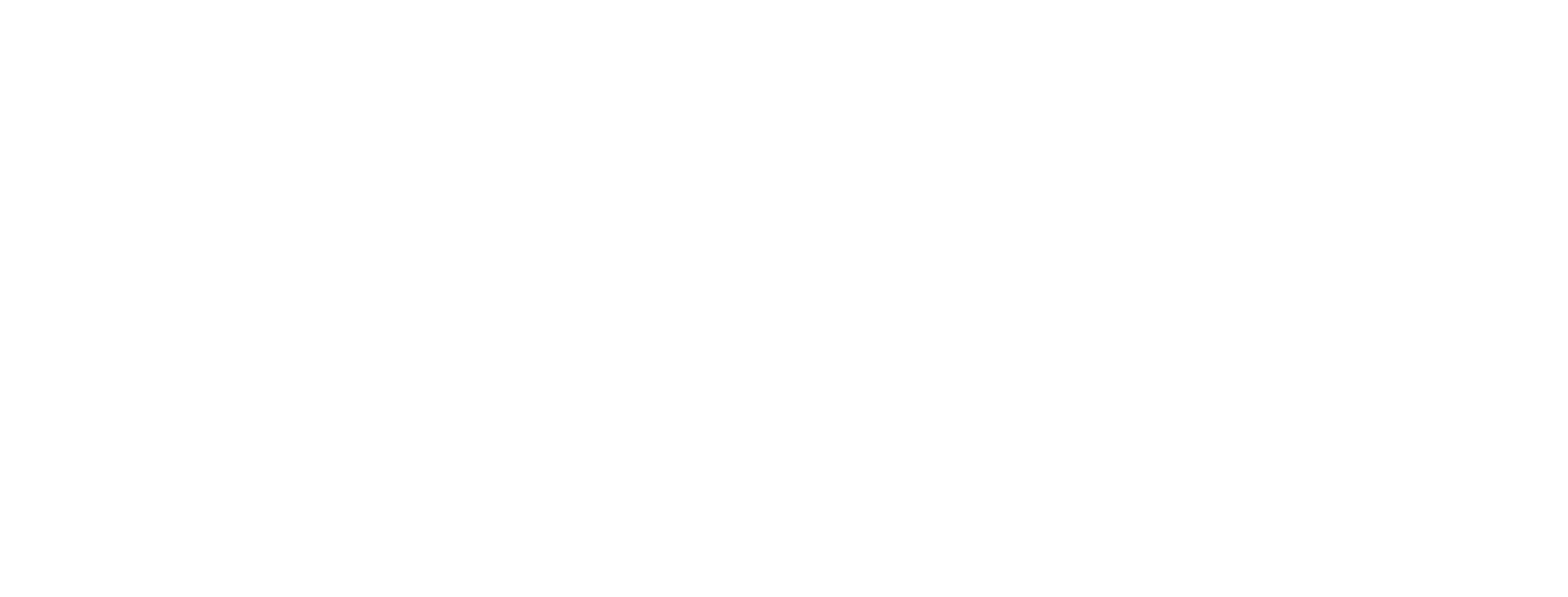 Логотип DRAGON